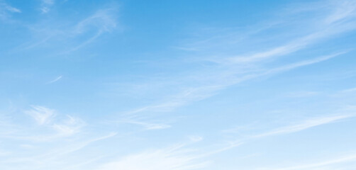 Light blue sky adorned with wispy white clouds drifting gently on a sunny day, creating an airy and natural background that feels refreshing and open.