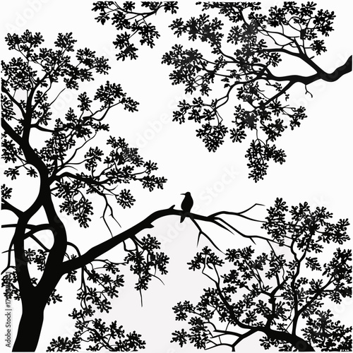 Enchanting tree silhouette with a perched bird, showcasing the intricate beauty of natures canopy and the peaceful presence of wildlife