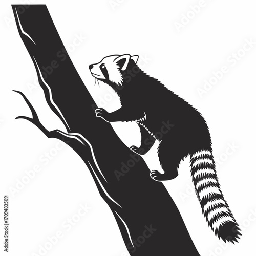 Raccoon climbing a tree silhouette isolated on white background