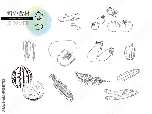 日本の夏の食材。夏の季節の食べ物。旬の食材。