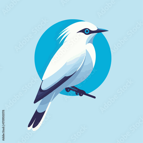 flat illustration of a Bali starling