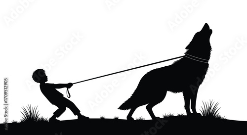 A young child bravely walks a howling wolf on a leash across a grassy hill.