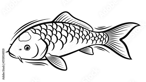 Illustration of a single koi fish swimming to the left, rendered in a minimalist black and white line art style