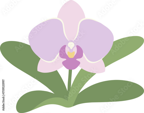 Simple Flat Design Pastel Orchid Flower Illustration Decorative Ornamental Element