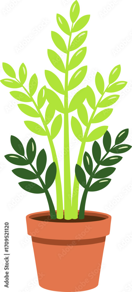 Fototapeta premium Flat Style Simple Zamioculcas Zamiifolia Plant in Pot Illustration