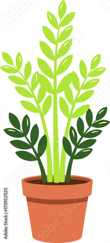 Flat Style Simple Zamioculcas Zamiifolia Plant in Pot Illustration