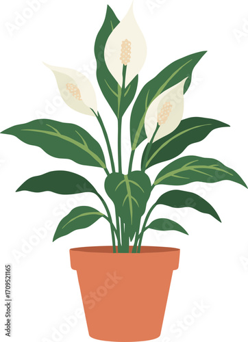 Flat Minimalist Peace Lily Plant in Terracotta Pot Decorative Illustration