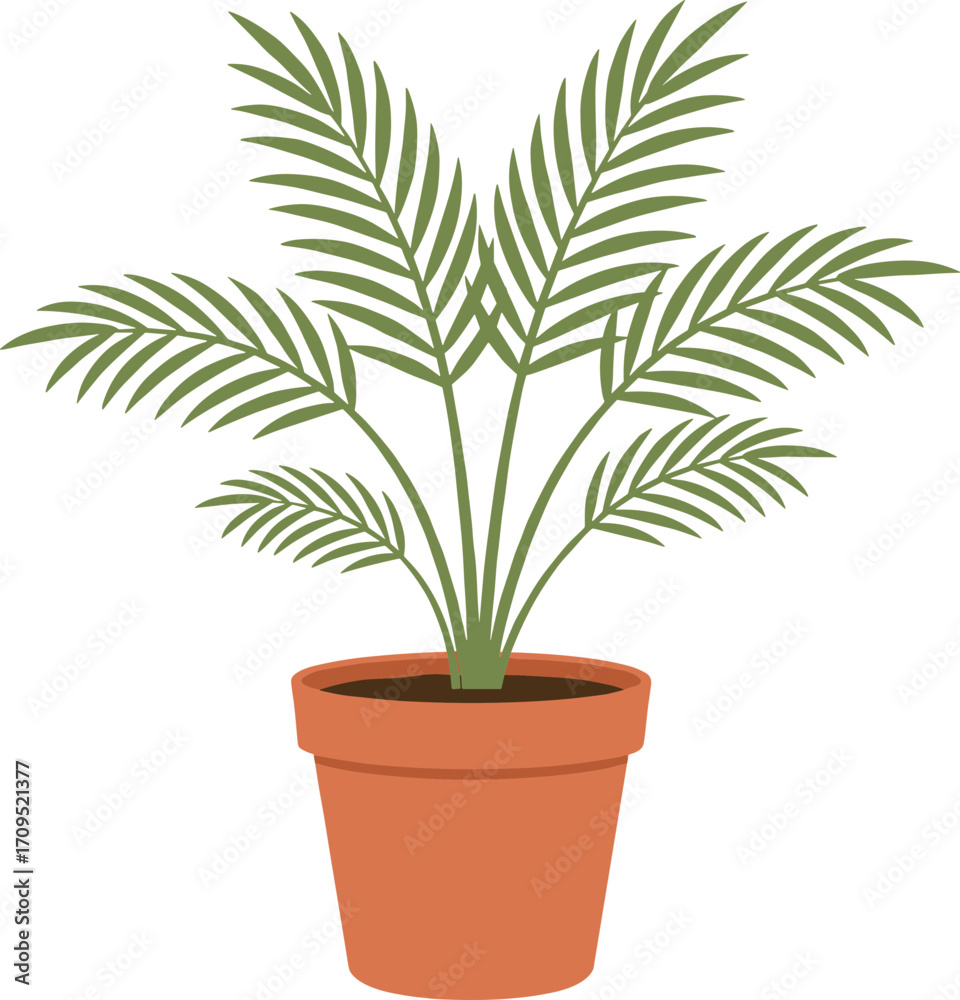 Fototapeta premium Flat Style Simple Areca Palm Tree in Pot Illustration
