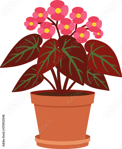 Flat Simple Begonia Flower in Pot Illustration for Decoration Element