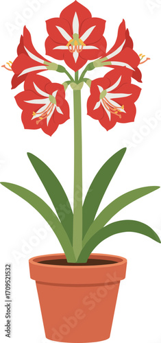 Flat Illustration Amaryllis Flower Potted Plant with Detailed Blossom Design