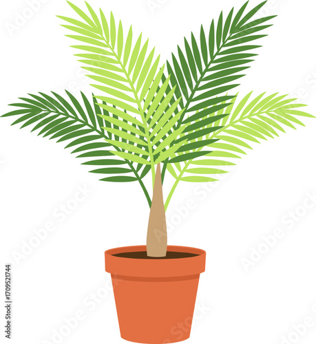 Simple Flat Style Potted Palm Tree Houseplant Decorative Illustration