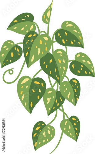 Flat Illustration Golden Pothos Plant Leaves with Spots Isolated Element