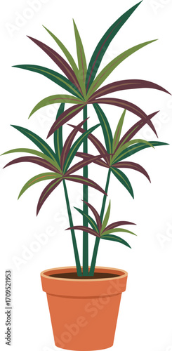 Flat Style Decorative Dracaena Reflexa Song of India Houseplant with Terracotta Pot