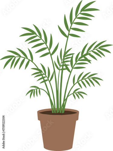 Simple Flat Illustration of Indoor Parlor Palm Houseplant in Pot