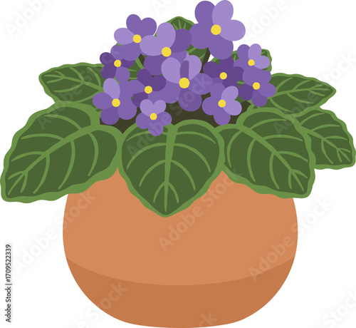 Simple Flat Illustration African Violet Flower in Pot Indoor Plant