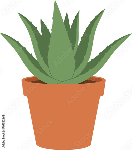 Simple Flat Style Aloe Vera Plant In a Pot Illustration Design
