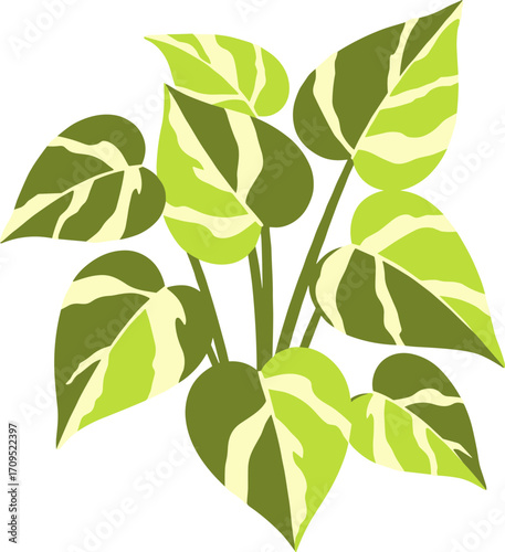Simple Flat Design Variegated Green Pothos Houseplant Arrangement Illustration