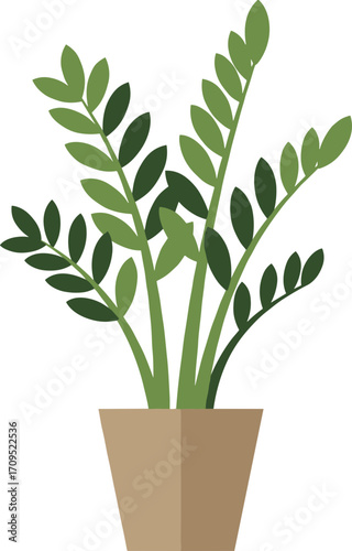 Minimalist Flat Illustration ZZ Plant Indoor in Pot Isolated on White