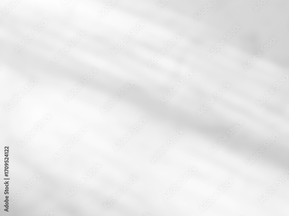 Obraz premium Background shadow white light wall floor backdrop overlay leaf mockup summer sunight overlay nature on room cement abstract blur muckup effect grey minimal platform for presentation product