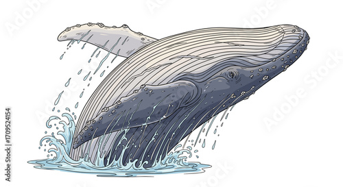Illustrated whale breaching the ocean surface with water splashing