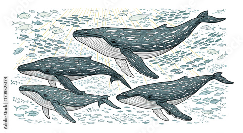 Pod of whales swimming underwater with schools of fish – hand-drawn marine illustration