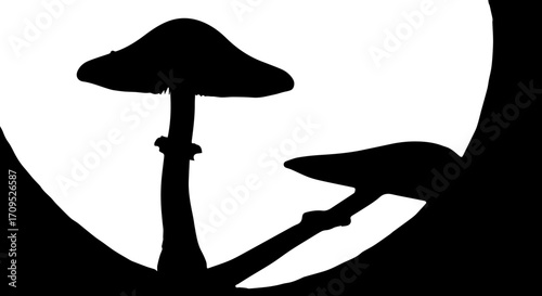 Mysterious forest mushrooms cast dramatic shadows against a stark, contrasting background creating an intriguing natural silhouette