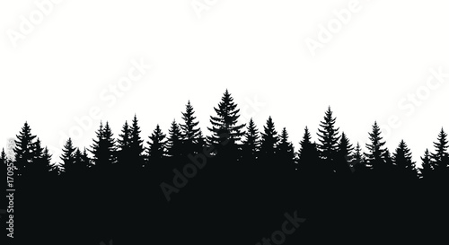 Dark evergreen forest silhouette against a bright white sky, evoking nature and wilderness.