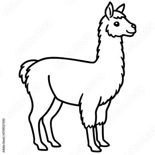 Simple line art silhouette of a llama standing proudly isolated on white background