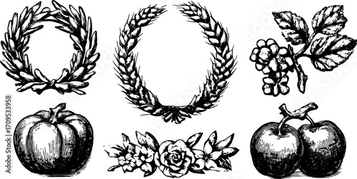 Wreath, rose, and fruit elements in detailed hand-drawn style. Classic black vector illustration with floral and botanical designs.