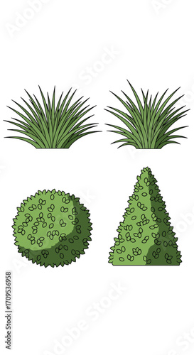 Collection of various green bushy ornamental plants for landscaping.