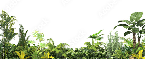 foreground tropical forest garden and grass on a transparent background.