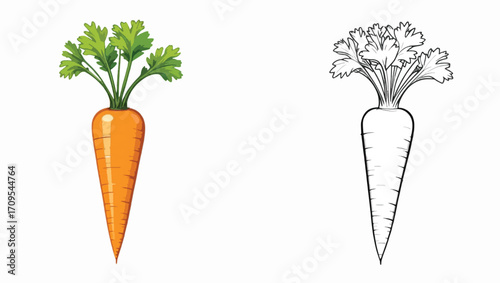 Carrot Vegetable Icon – Fresh Root Illustration with Outline for Healthy Food, Farm and Nutrition Designs