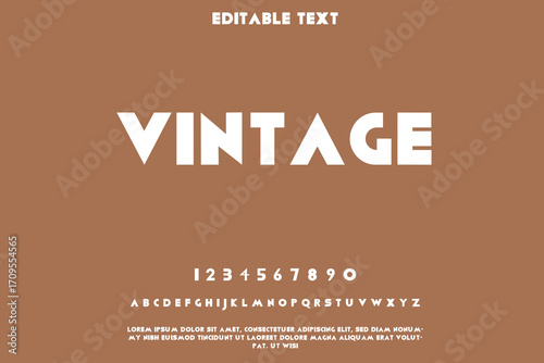 Retro vintage font style with numbers and letters