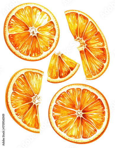 Citrus slices in vibrant orange (1)