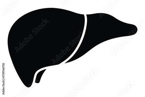 liver silhouette vector icon