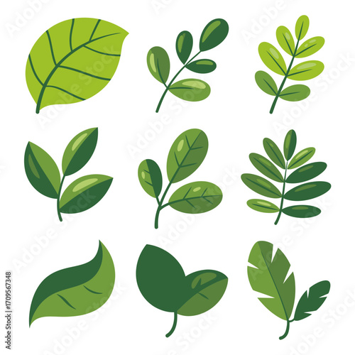 Collection of Nine Green Leaves and Sprigs Illustration.