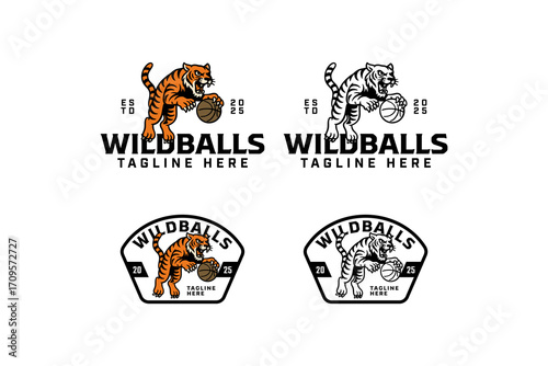 Tiger gripping basketball retro badge logo vector design set for sports mascot. Fierce big cat holding ball vintage emblem logo graphic pack. Feline clutching ball illustration patch element design