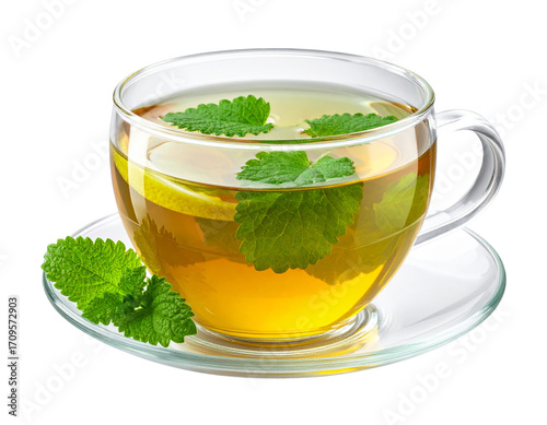 Herbal Lemon Balm Tea in Glass Cup Isolated on Transparent Background