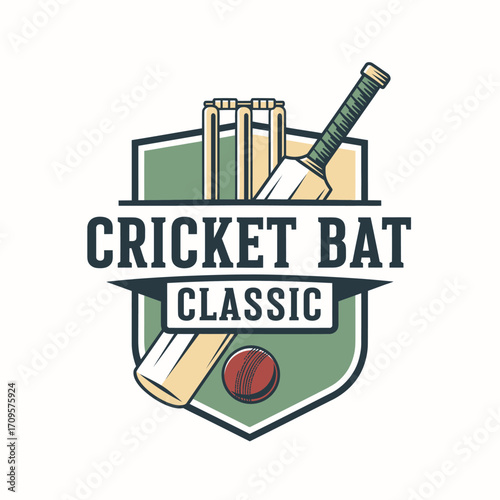 game bat ball match design sport classic illustration vector icon team