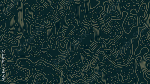 Topography background. Vector banner. Topography background. Vector geographic contour map. Background of the topographic map. Topographic map lines, contour background.	