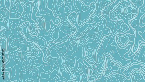The stylized height of the topographic map in contour, lines. Topography and geography map grid abstract backdrop.