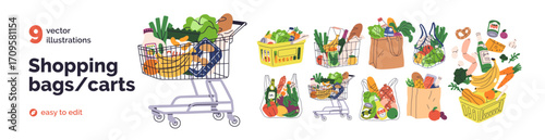 Shopping carts, paper bags, plastic and metal baskets from grocery store. Trolleys full of food products, purchases, vegetables, bread, fruits. Flat vector illustrations isolated on white background