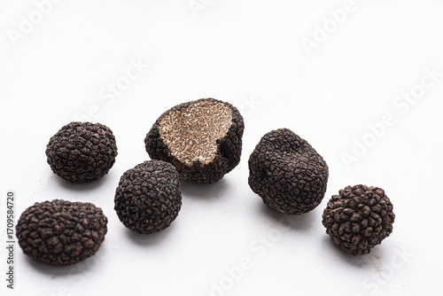 Wallpaper Mural Black truffle mushrooms on the white background. Fragrance of black truffle mushrooms. Autumn gourmet cuisine of Piedmont, Northern Italy, France, Spain  Torontodigital.ca