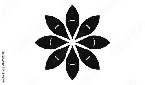 Abstract star anise spice silhouette isolated on white background