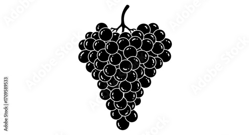 Vineyard Collection, Outdoor Event, Nature Illustration, Scenic Viewpoint