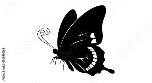 Dynamic Butterfly Illustration, Nature, Vector Art, Black Silhouette, Minimalist Design