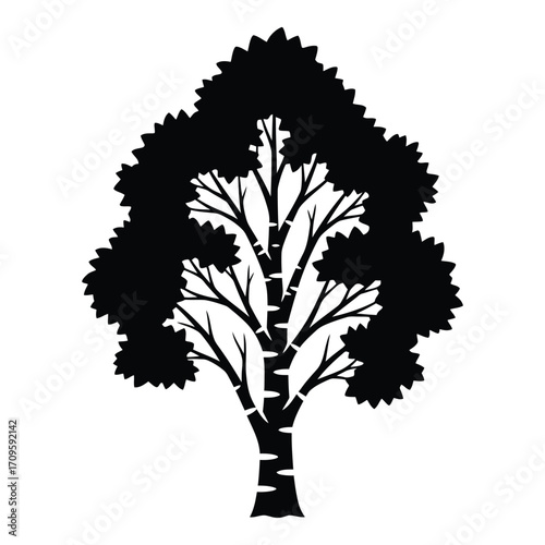 Silhouette of a majestic aspen tree with distinctive bark detailed branches and lush foliage silhouette