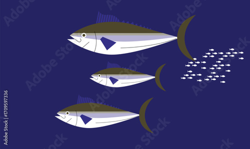 illustration of a group of tuna fishes swimming together underwater, representing marine life, ocean ecosystems, and the movement of sea creatures