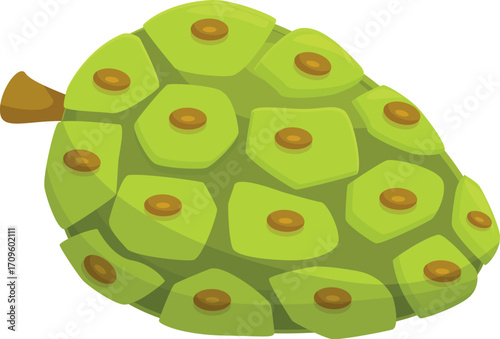 Noni fruit with distinctive bumpy skin and vibrant green hue, showcasing its tropical origin and potential health benefits