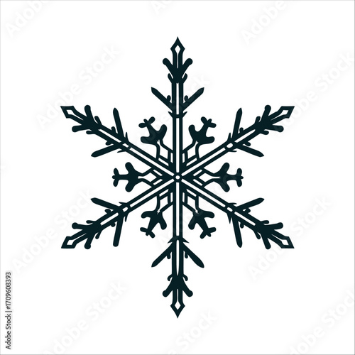 Winter Solstice Snowflake with intricate geometric symmetry in frosty silver